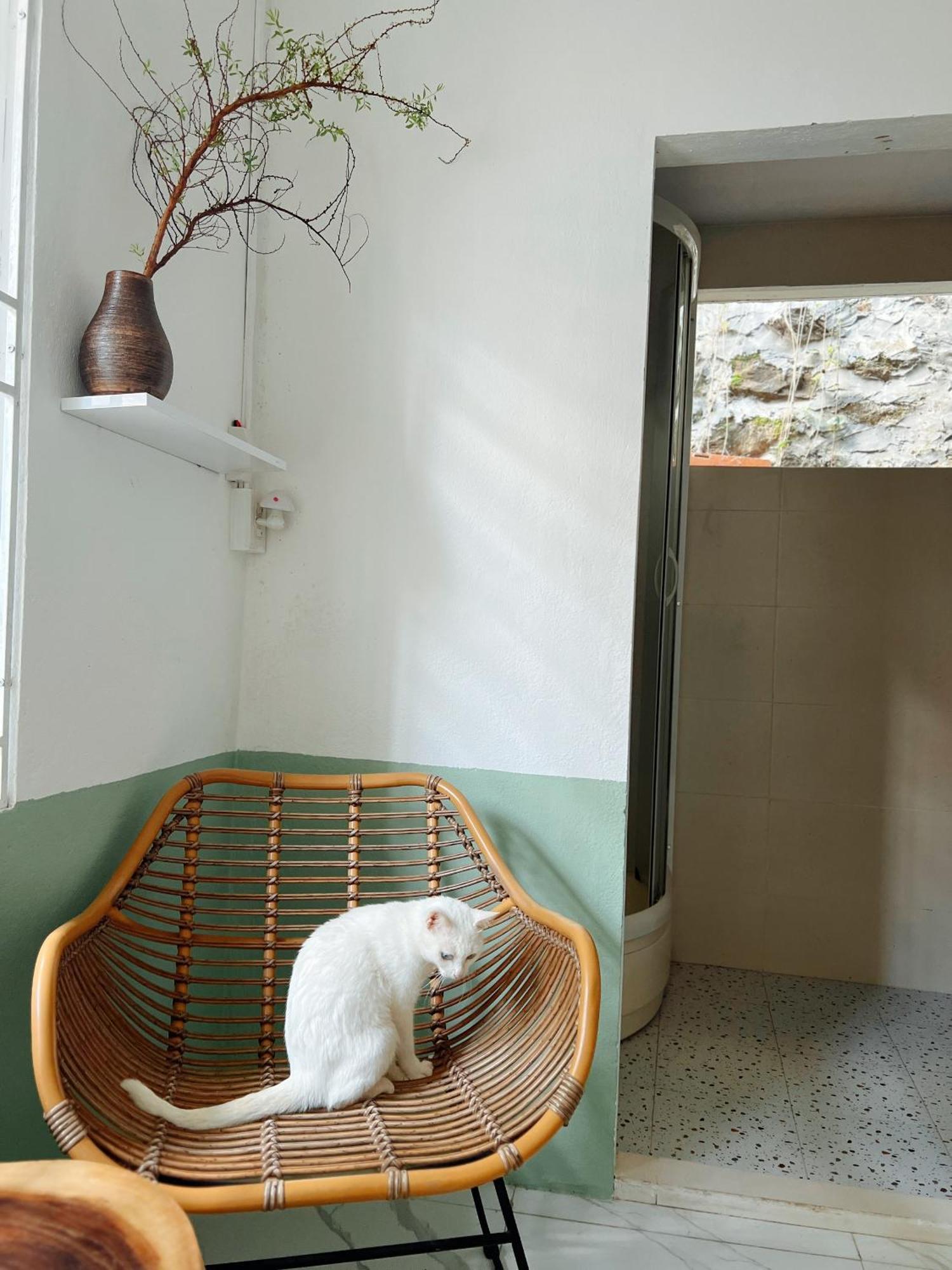 The Hue Homestay エクステリア 写真